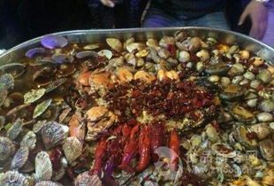 蝶魚 蝶魚價(jià)格 報(bào)價(jià) 蝶魚品牌廠家