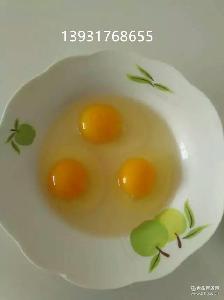 純柴雞蛋 純柴雞蛋價(jià)格 報(bào)價(jià) 純柴雞蛋品牌廠家